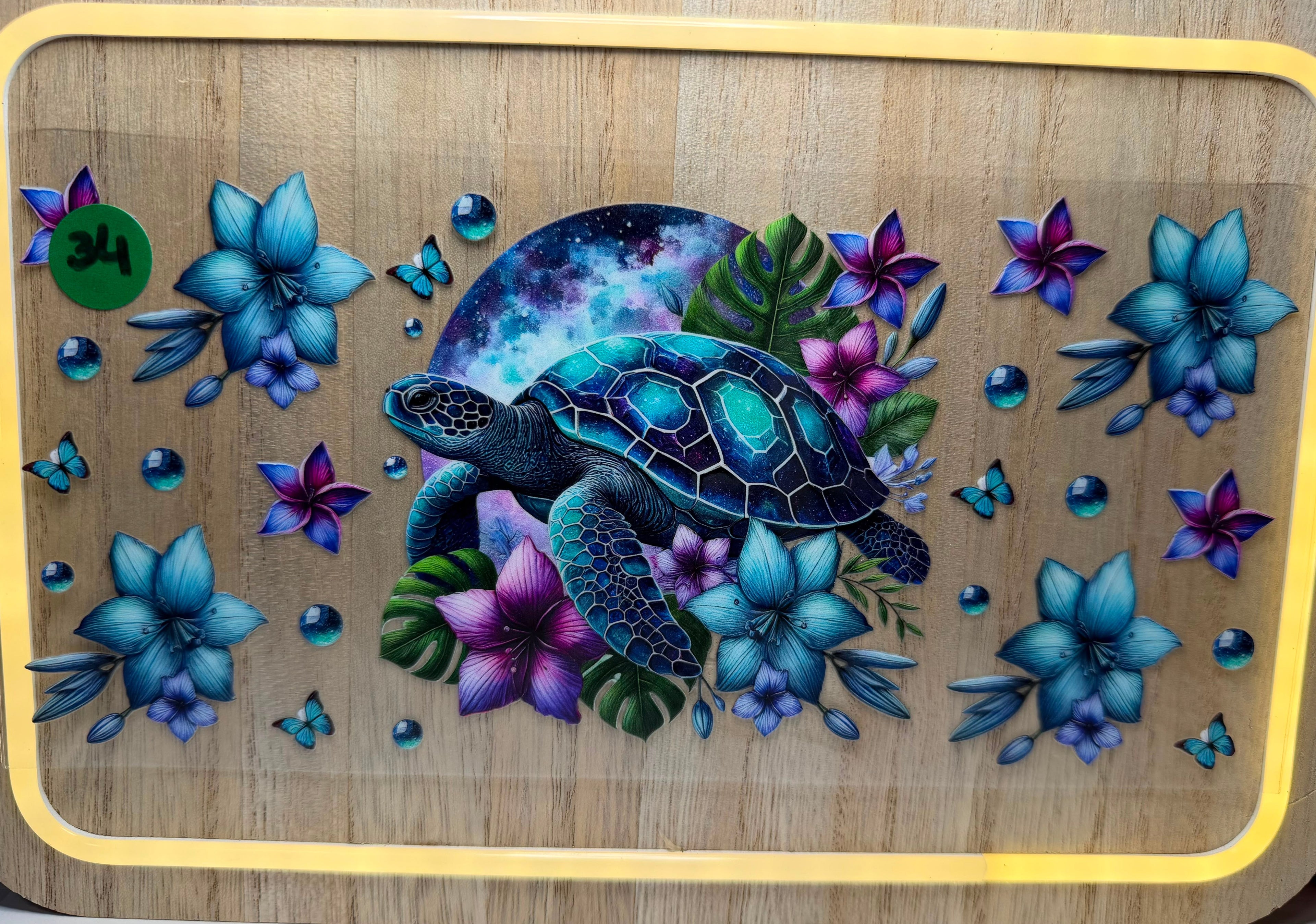 Turtle #34