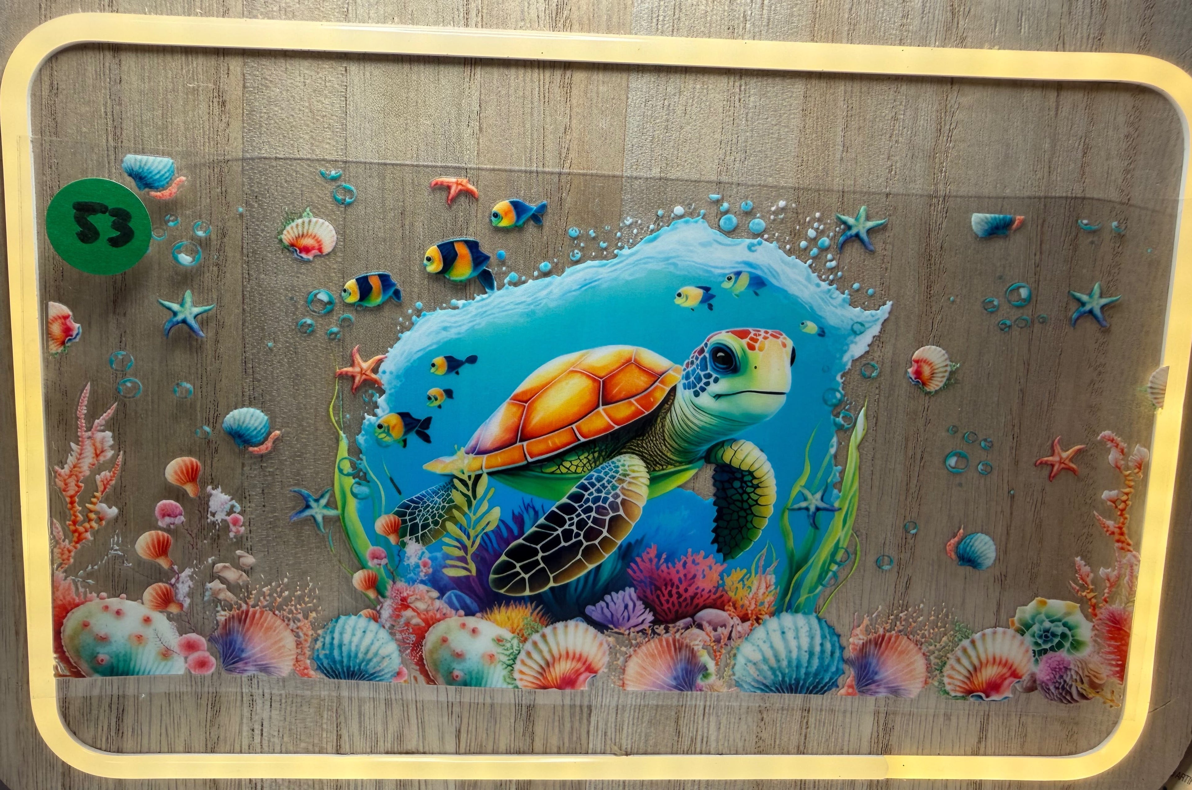Turtle #53