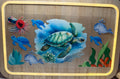 Turtle #48