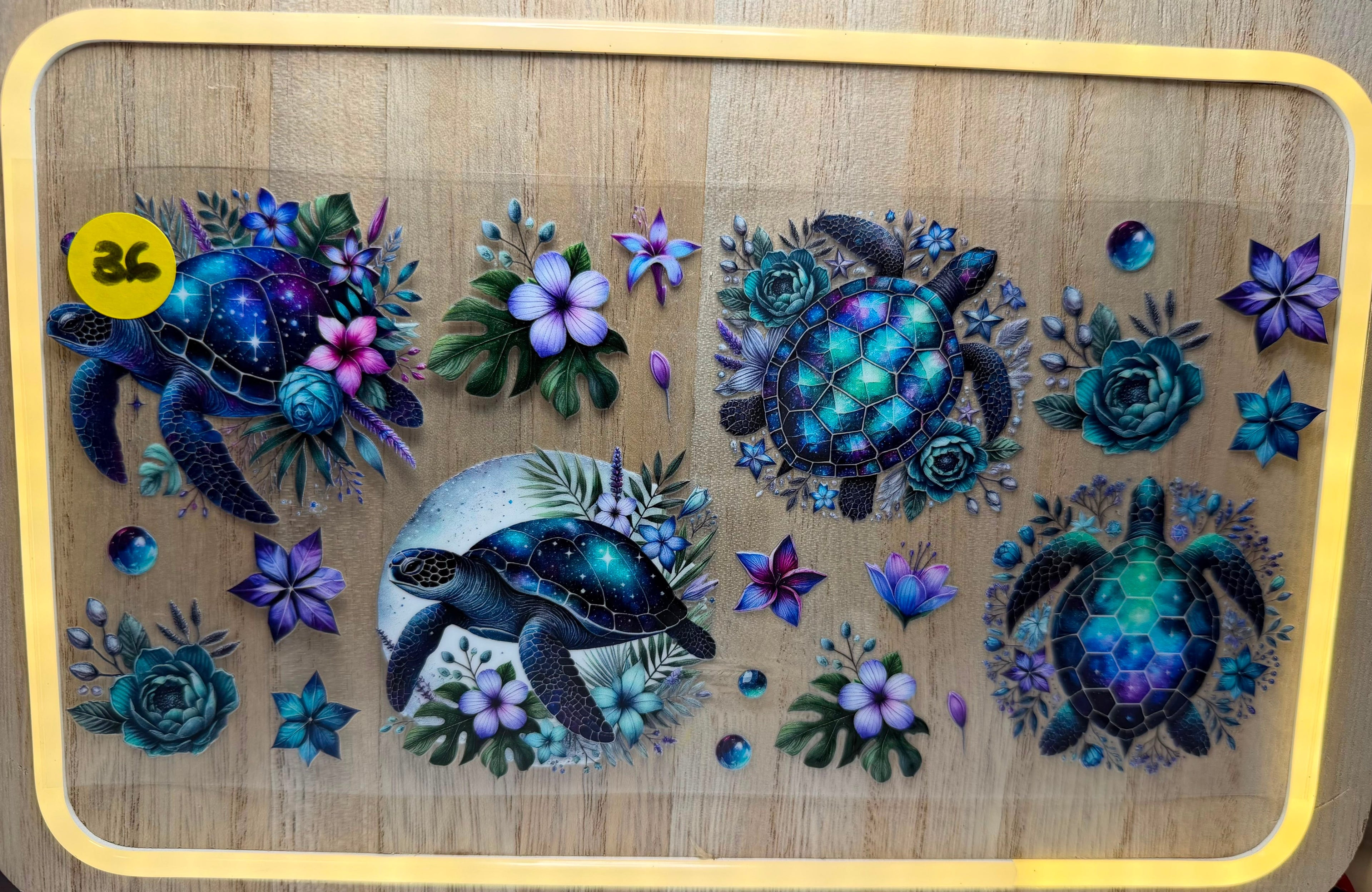 Turtle #36