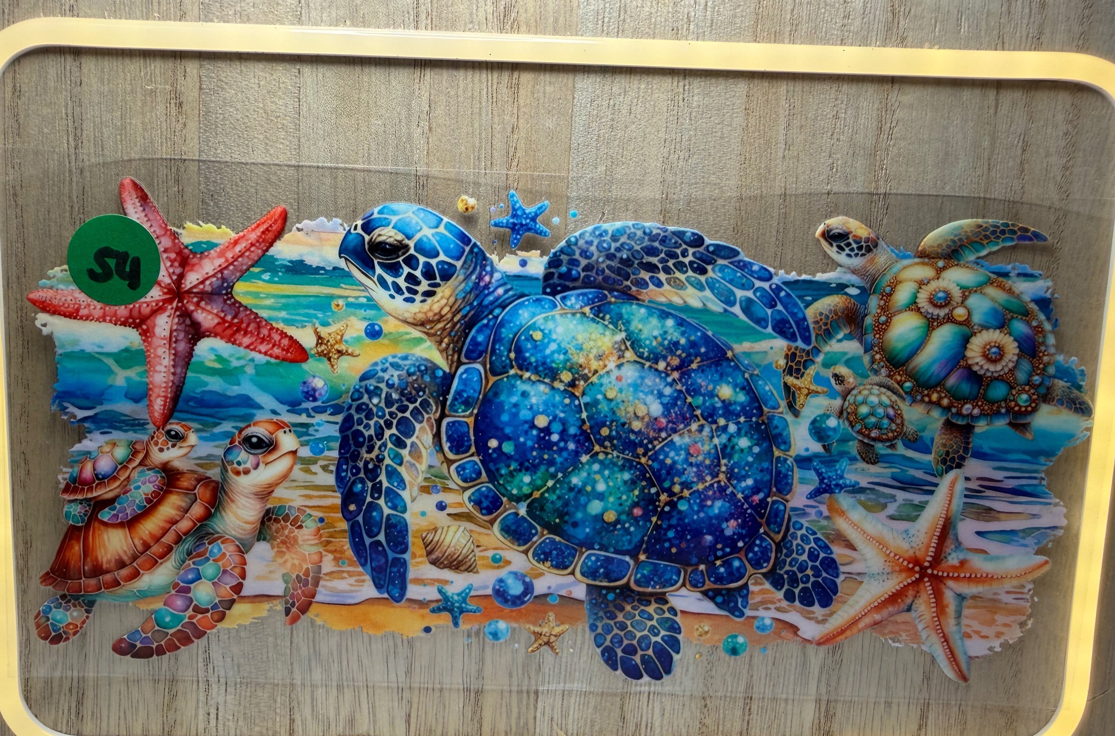 Turtle #54