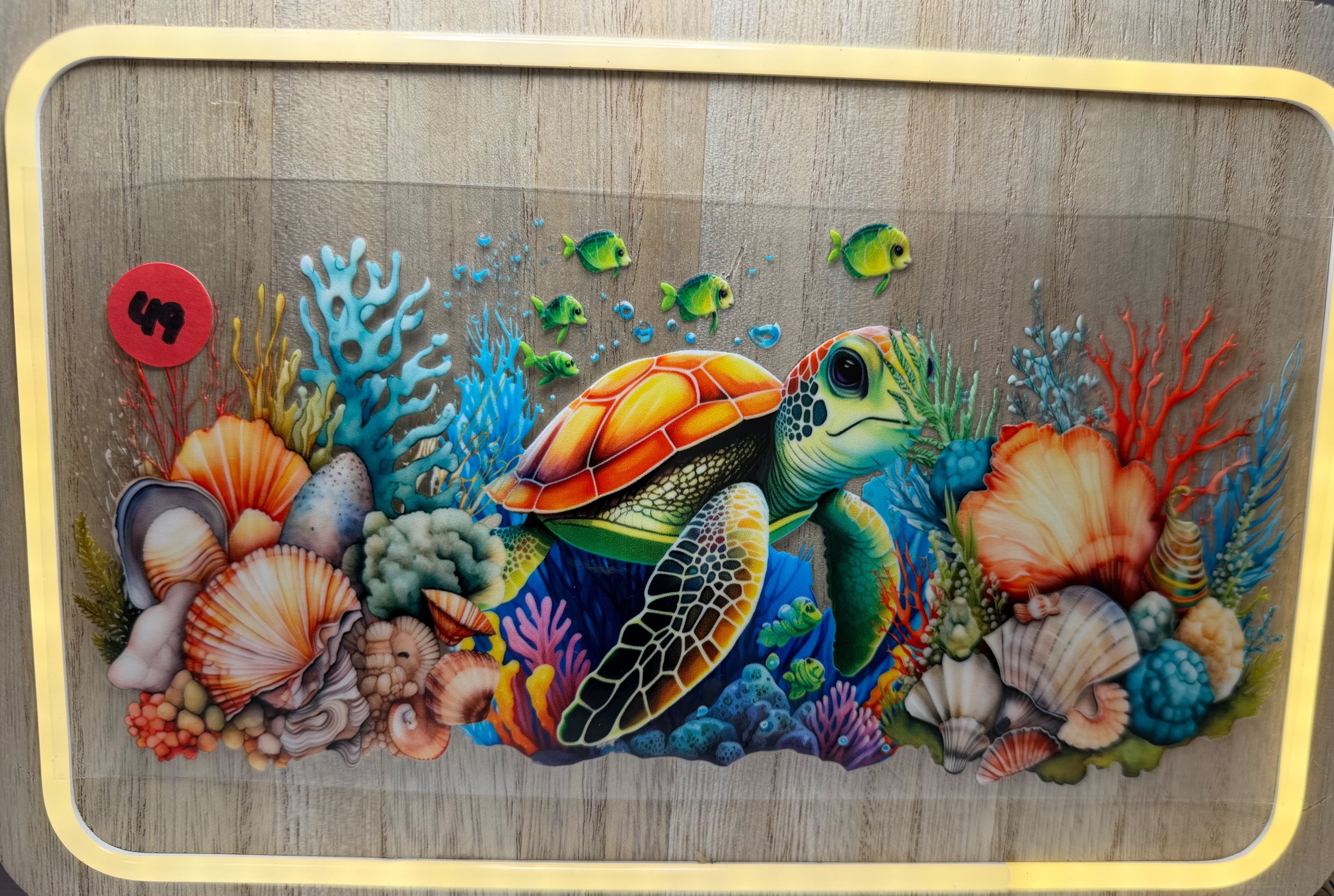Turtle #49